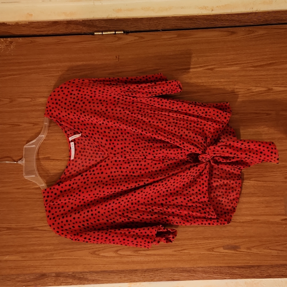 Red Polka-dot Ladybug Blouse, LUQ, Size M, Good Condition, $15